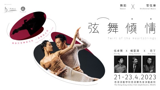 弦舞倾情